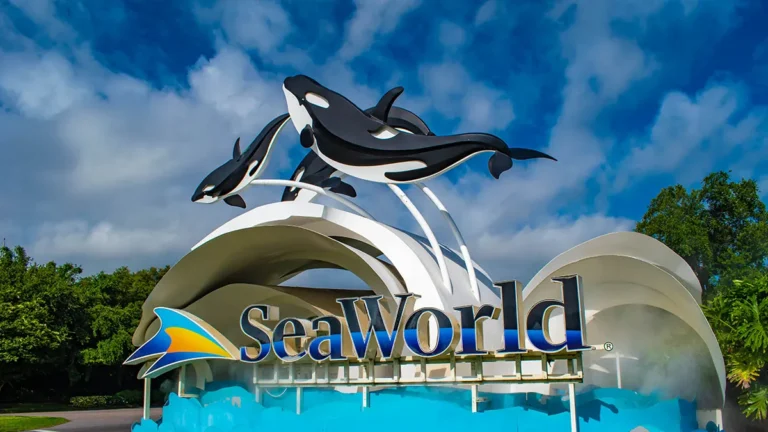 SeaWorld: Free Admission for Teachers & Kids Ages 3–5