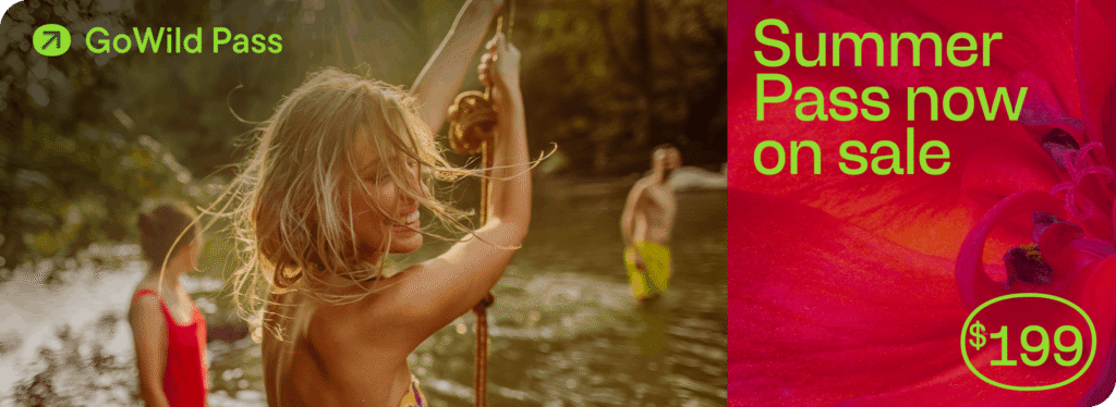 Summer pass promotion with vibrant imagery